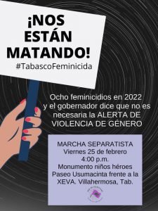 Grupos feministas de Tabasco han reiterado su preocupación por los feminicidios y demandan se instaure el mecanismo gubernamental especial para prevenir y erradicar feminicidios